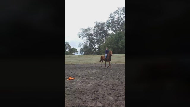 Cowboyswagxxx  28-01-2023 Recorded Video harddick