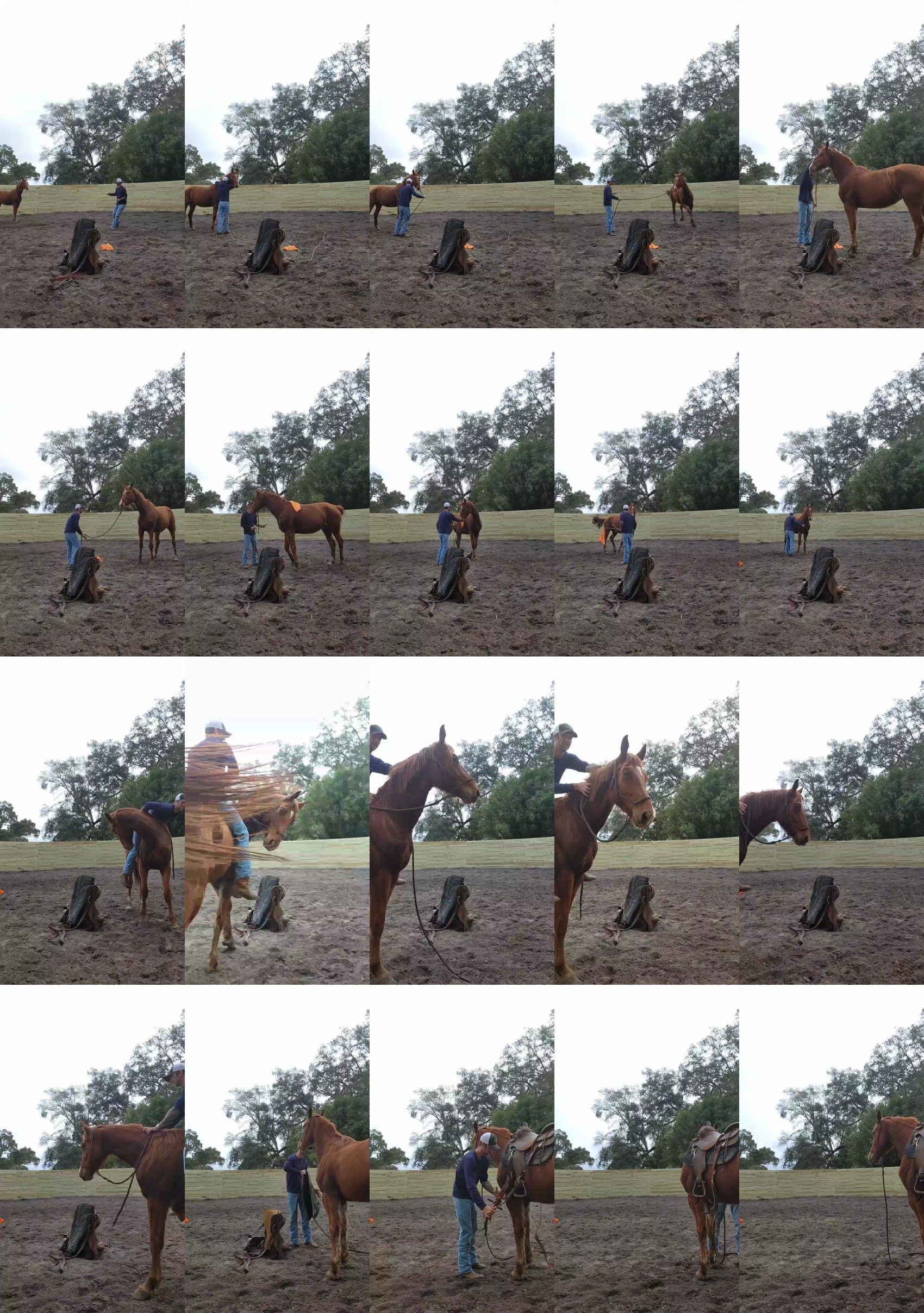 Cowboyswagxxx  28-01-2023 Recorded Video lush