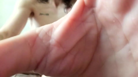 db343  28-01-2023 video big