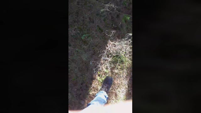 DePamplona  30-01-2023 Recorded Video gag