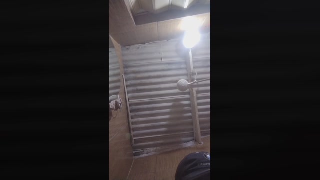 Vitorpicudo  29-01-2023 Recorded Video bicurious