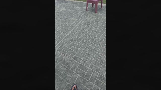 DavidRangel  30-01-2023 Recorded Video lick