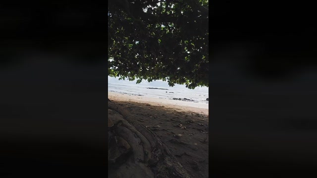 Spix4ever  31-01-2023 Recorded Video orgasm