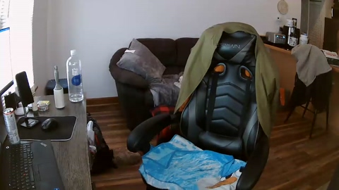 fullbbcbull  30-01-2023 video orgasm