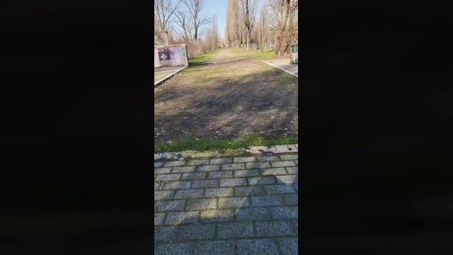 giorgio526  01-02-2023 Recorded Video jerking