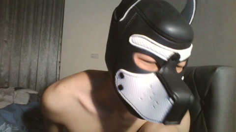 TibetanWolf  01-02-2023 Recorded Video big