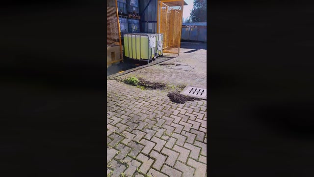 bunny_vic 02-02-2023 spank 