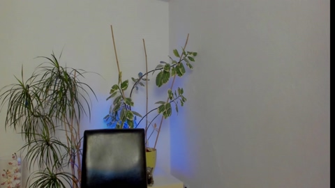 mewtwo__  02-02-2023 video kissing