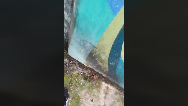 4sexBR  04-02-2023 Recorded Video blowjob