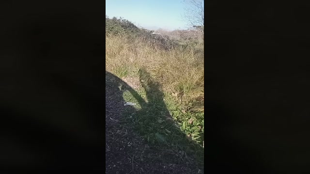 marcoroma57  04-02-2023 Recorded Video prettyface