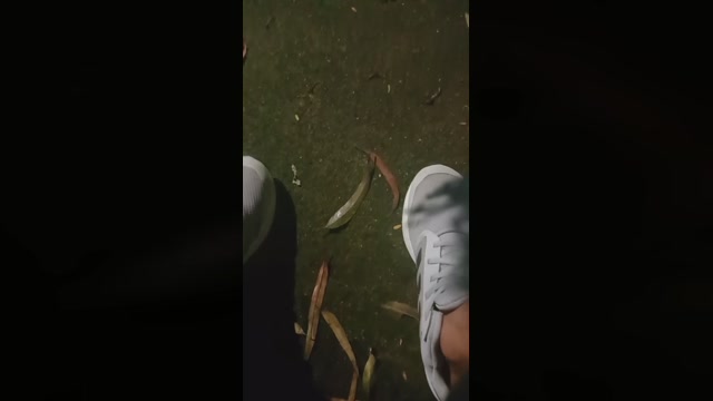 edydahora94  04-02-2023 Recorded Video ass