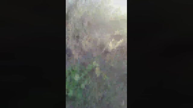 icebulls  04-02-2023 Recorded Video kink