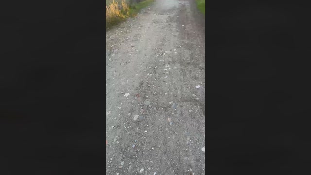 Rpulido23  05-02-2023 Recorded Video suck