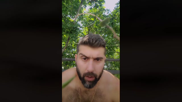 damifox  06-02-2023 Recorded Video gay