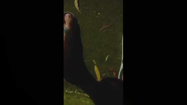 edydahora94  05-02-2023 Recorded Video skinny