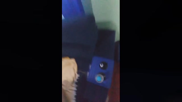 Ksalsecrets4  07-02-2023 fuckface Females