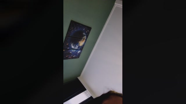 CarolaK 08-02-2023 fuckme 