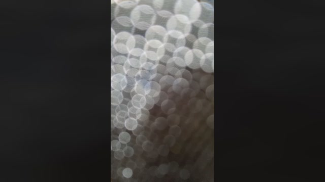 GATOXXLBR  07-02-2023 Recorded Video lick