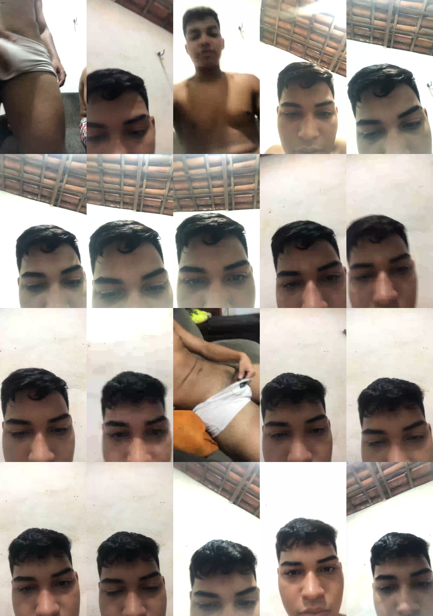 novinho20cm5  09-02-2023 Recorded Video suckcock