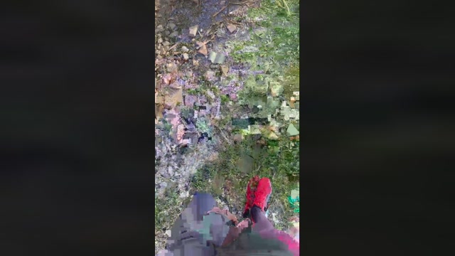 Rpulido23  11-02-2023 Recorded Video ass