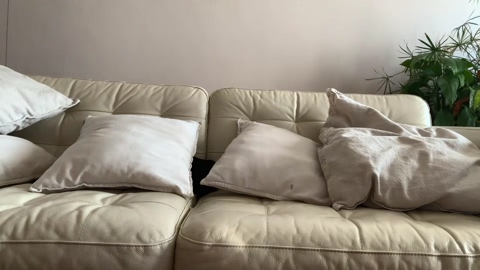SAMIASDOM  12-02-2023 Recorded Video hardcock