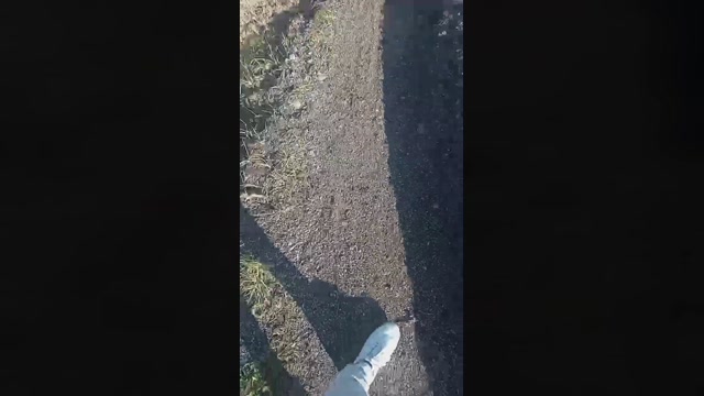 marcoroma57  12-02-2023 Recorded Video fuckher