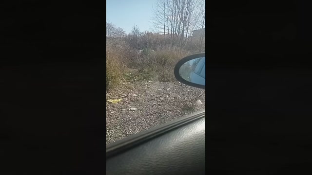 marcoroma57  12-02-2023 Recorded Video cute