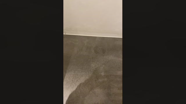 Alcalaguarreo1  13-02-2023 Recorded Video analsex