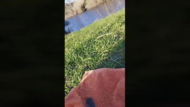 Jorisback  13-02-2023 Recorded Video love