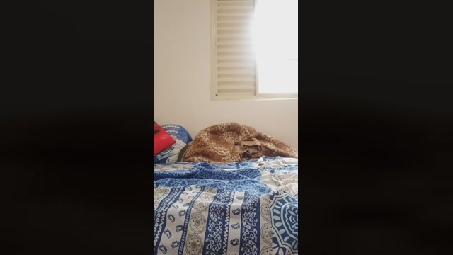 Sobrinhus  12-02-2023 Recorded Video wank