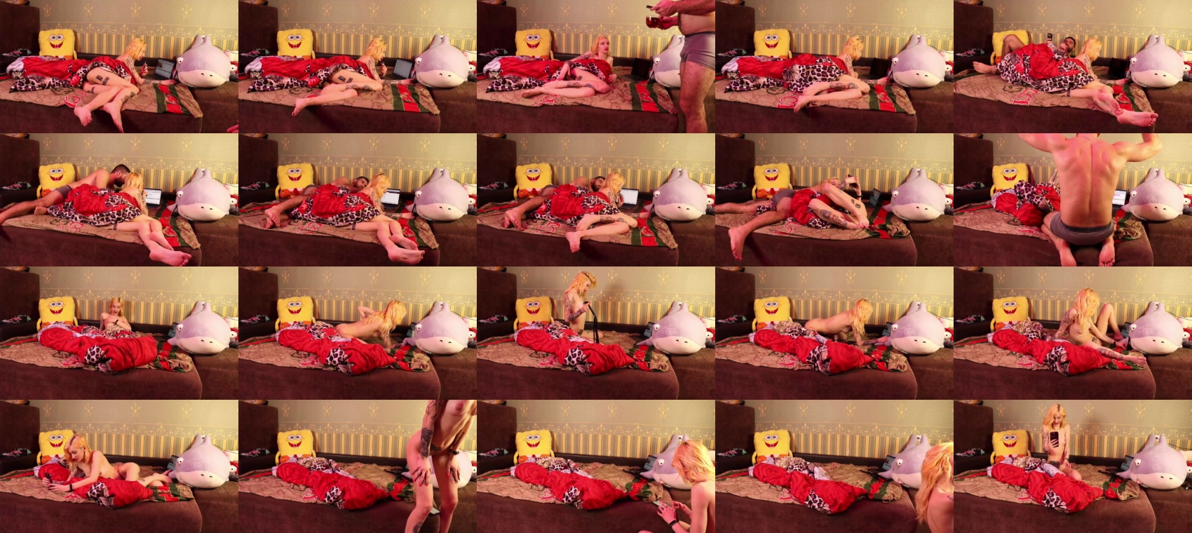 sex_rabbit 12-02-2023 suckcock 