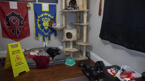 sydaffect  12-02-2023 video jerkoff