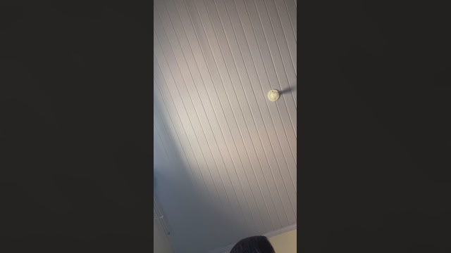 Yaspink 13-02-2023 Recorded 