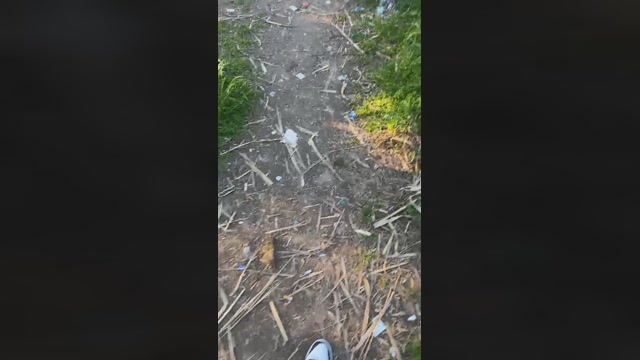 pellinkio  15-02-2023 Recorded Video bigballs