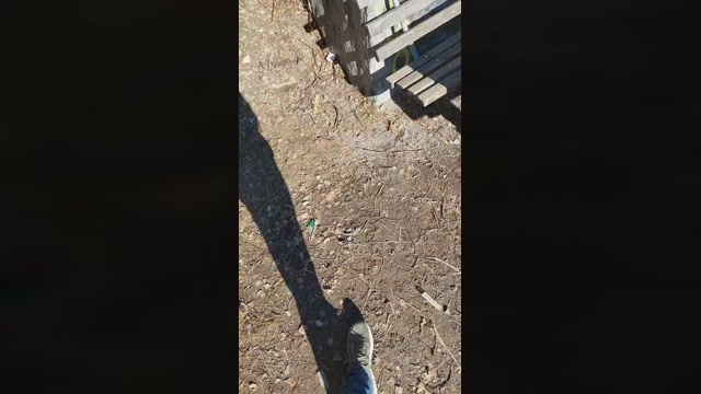 suckandfuck_xxx  15-02-2023 Recorded Video hardcore