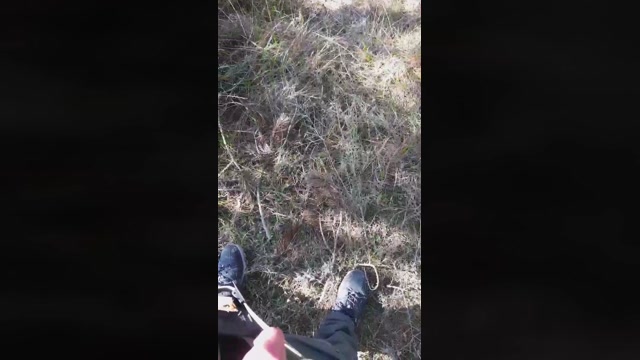 DePamplona  16-02-2023 Recorded Video lick