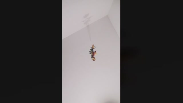 Kain473  16-02-2023 Recorded Video ass