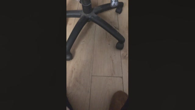 ericperez5  17-02-2023 Recorded Video oral