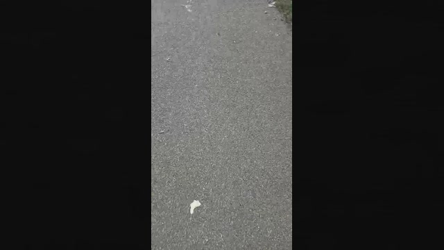 marcoroma57  17-02-2023 Recorded Video skinny