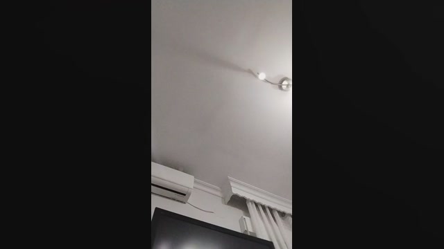 Penetreitor1994  17-02-2023 Recorded Video harddick