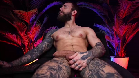 c_o_n_q_u_e_r  18-02-2023 video toy