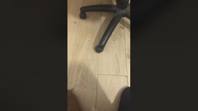 ericperez5  17-02-2023 Recorded Video Topless
