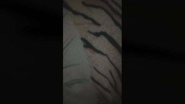 guimonteiro2303  17-02-2023 Recorded Video bigcock