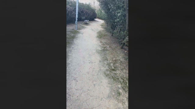 Alcalaguarreo1  18-02-2023 Recorded Video nude