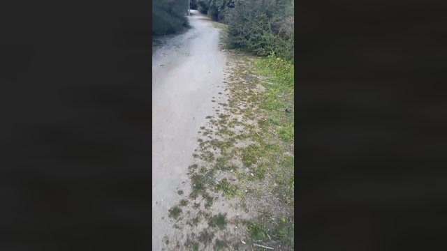 Alcalaguarreo1  18-02-2023 Recorded Video hardcock