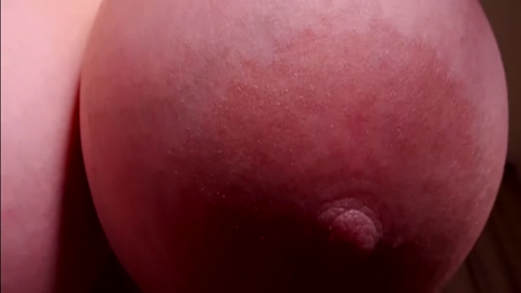 aveksmr 19-02-2023 bigass 