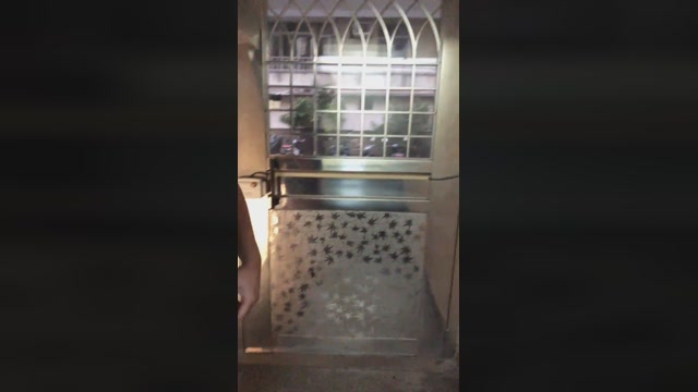 brian242016  19-02-2023 Recorded Video fuckhard