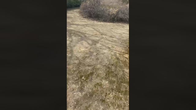 Alcalaguarreo1  20-02-2023 Recorded Video spank