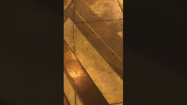 Dapehur  19-02-2023 Recorded Video Ass