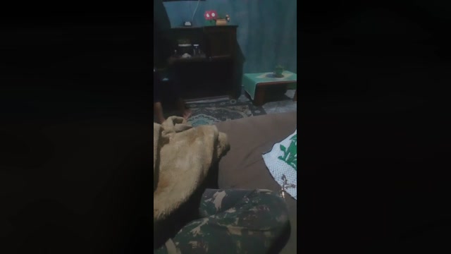 niupmozaosexy1